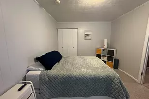 206 W Homer Ave Ave, Harrisburg, IL 62946 - Photo 27