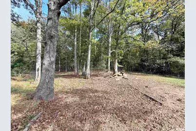 8375 Highway 145 S, Harrisburg, IL 62946 - Photo 17