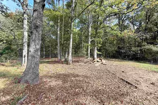 8375 Hwy 145 S, Harrisburg, IL 62946 - Photo 17