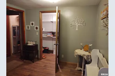 901 Locust Street, Vienna, IL 62995 - Photo 17