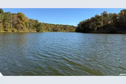 000 Clifty Lane, Orangeville, IL 62939 - Photo 7