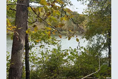 000 Clifty Lane, Orangeville, IL 62939 - Photo 15