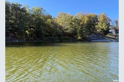 000 Clifty Lane, Orangeville, IL 62939 - Photo 9