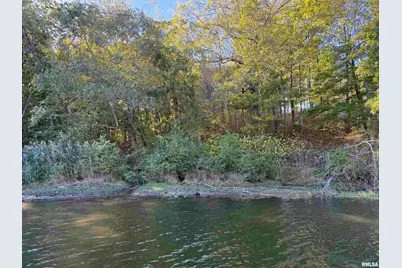 000 Clifty Lane, Orangeville, IL 62939 - Photo 1