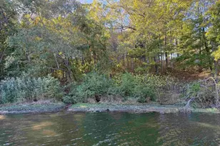 000 Clifty Ln, Orangeville, IL 62939 - Photo 1