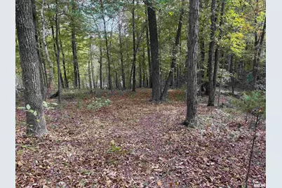 000 Clifty Lane, Orangeville, IL 62939 - Photo 13