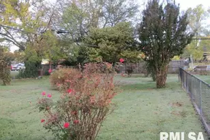 430 W Church St, Harrisburg, IL 62946 - Photo 21