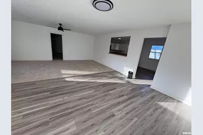 3305 Selmaville Road, Salem, IL 62881 - Photo 3