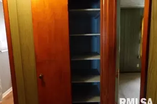 1111 Roosevelt St, Harrisburg, IL 62946 - Photo 11