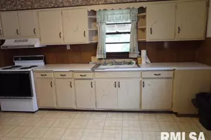 1111 Roosevelt St, Harrisburg, IL 62946 - Photo 7