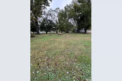 25 S Walnut Street, Tamaroa, IL 62888 - Photo 3