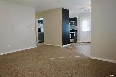 310 N 4th Street, Earlville, IL 62932 - Photo 5