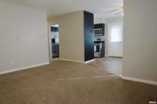 310 N 4th St, Earlville, IL 62932 - Photo 5