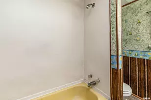 208 W Pennsylvania Ave, Pittsburg, IL 62974 - Photo 19