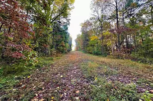 718 Karbers Ridge Rd, Elizabethtown, IL 62931 - Photo 47