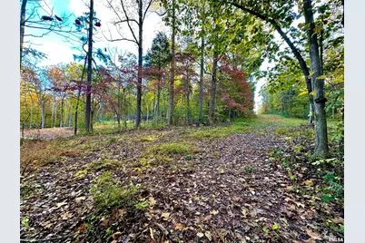 718 Karbers Ridge Road, Elizabethtown, IL 62931 - Photo 5