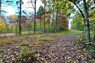 718 Karbers Ridge Rd, Elizabethtown, IL 62931 - Photo 5