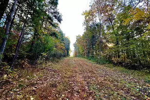 718 Karbers Ridge Rd, Elizabethtown, IL 62931 - Photo 53