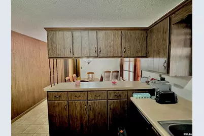 718 Karbers Ridge Road, Elizabethtown, IL 62931 - Photo 23