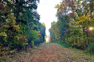 718 Karbers Ridge Rd, Elizabethtown, IL 62931 - Photo 49