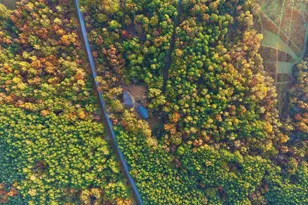 718 Karbers Ridge Rd, Elizabethtown, IL 62931 - Photo 65