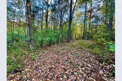 718 Karbers Ridge Road, Elizabethtown, IL 62931 - Photo 51