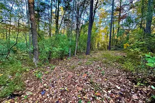 718 Karbers Ridge Rd, Elizabethtown, IL 62931 - Photo 51