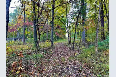 718 Karbers Ridge Road, Elizabethtown, IL 62931 - Photo 45