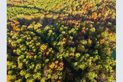 718 Karbers Ridge Road, Elizabethtown, IL 62931 - Photo 69