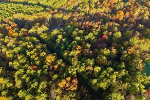 718 Karbers Ridge Rd, Elizabethtown, IL 62931 - Photo 69