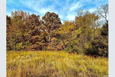 1143 N County Line Road, Cobden, IL 62920 - Photo 9