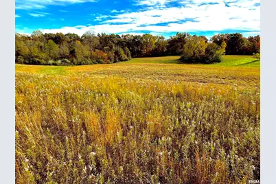 1143 N County Line Road, Cobden, IL 62920 - Photo 23