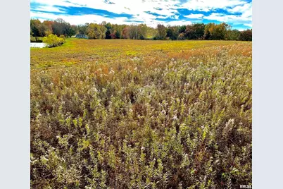 1143 N County Line Road, Cobden, IL 62920 - Photo 25