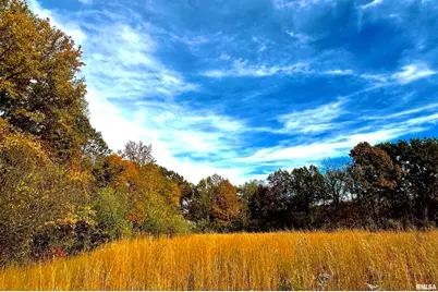 1143 N County Line Road, Cobden, IL 62920 - Photo 11