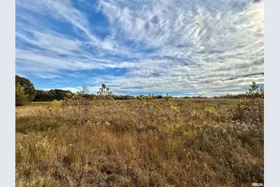 1143 N County Line Road, Cobden, IL 62920 - Photo 7