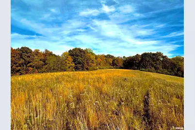 1143 N County Line Road, Cobden, IL 62920 - Photo 21