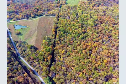 1143 N County Line Road, Cobden, IL 62920 - Photo 29