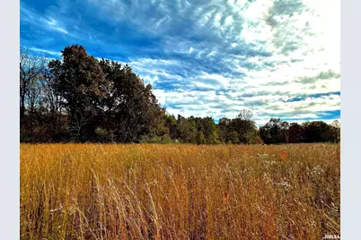 1143 N County Line Road, Cobden, IL 62920 - Photo 13