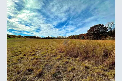 1143 N County Line Road, Cobden, IL 62920 - Photo 15