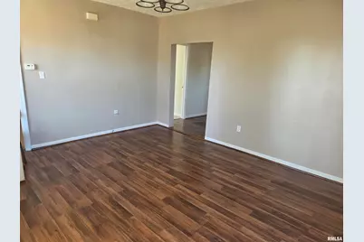 208 W Cherry Street, Springerton, IL 62887 - Photo 7