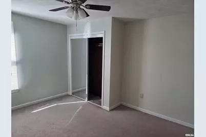 208 W Cherry Street, Springerton, IL 62887 - Photo 9