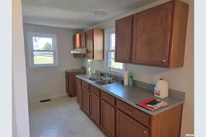 208 W Cherry Street, Springerton, IL 62887 - Photo 13