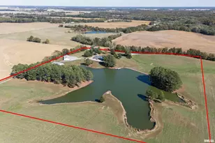 6694 Shamrock Rd, Tamaroa, IL 62888 - Photo 7