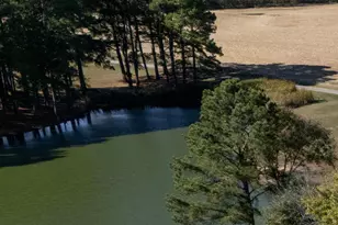 6694 Shamrock Rd, Tamaroa, IL 62888 - Photo 9