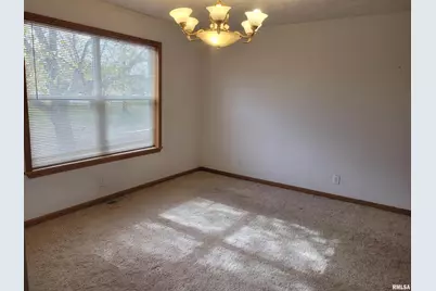 103 E Highline Road, Chicago, IL 62898 - Photo 13