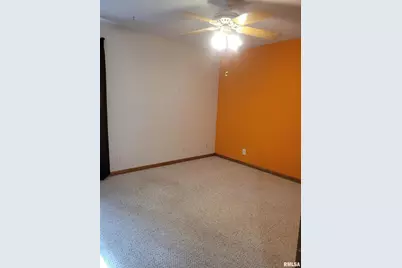 103 E Highline Road, Chicago, IL 62898 - Photo 17