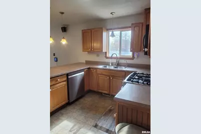 103 E Highline Road, Chicago, IL 62898 - Photo 11