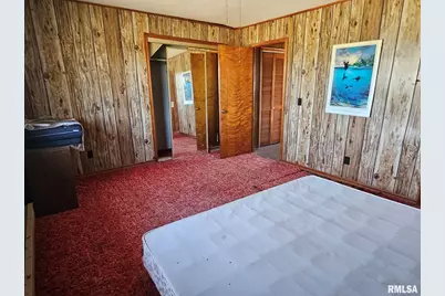 3830 Il-147 Route, Vienna, IL 62995 - Photo 19