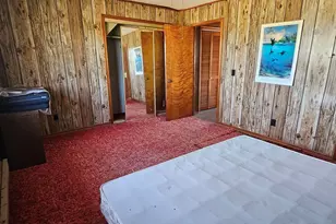 3830 Il-147 Rte, Vienna, IL 62995 - Photo 19