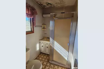 3830 Il-147 Route, Vienna, IL 62995 - Photo 11